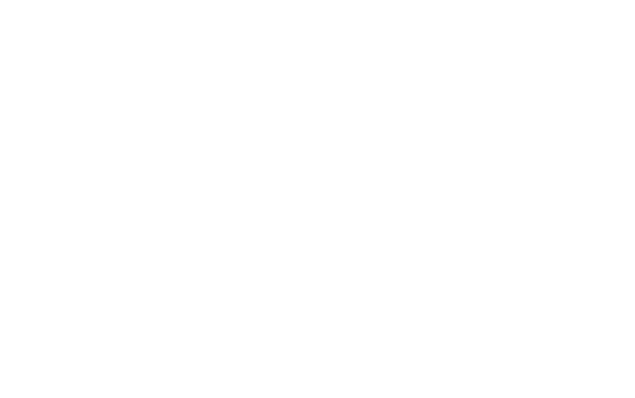 boraflex_logo_final-branco